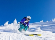 TheShy新星败北表现突出，加拿大队前途光明！再创辉煌时刻